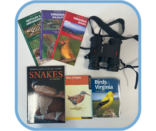 VA Birds & Animals