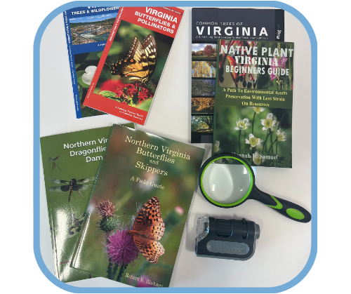 VA Plants & Bugs